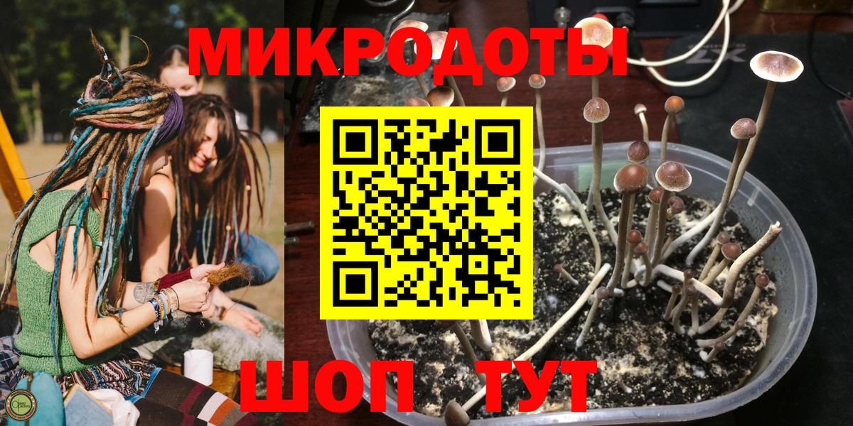Псилоцибиновые грибы MAGIC MUSHROOMS Выборг