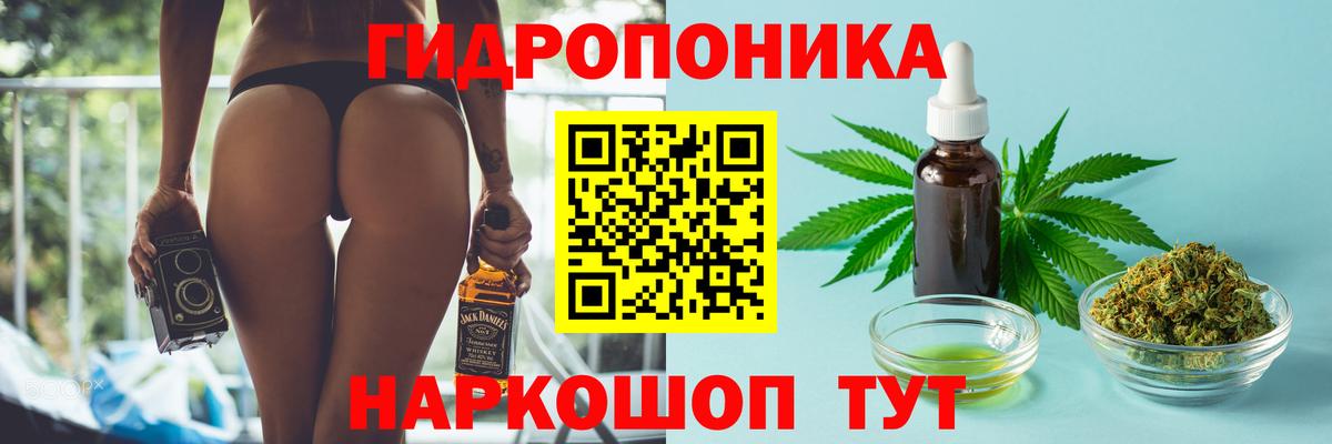 Марихуана конопля  МАРИХУАНА White Widow  Конопля SATIVA & INDICA  Вход с VPN  Выборг  Конопля планчик 